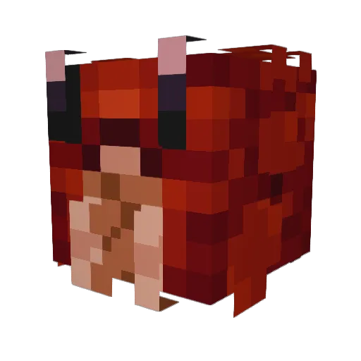 thatguygnome Minecraft avatar head, 3D render