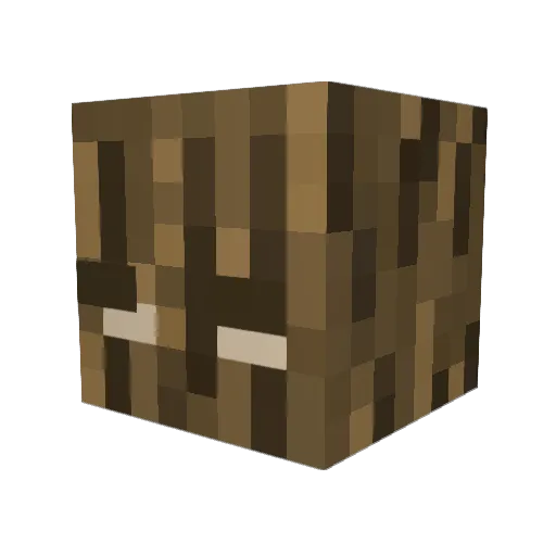 thatguywoods Minecraft avatar head, 3D render