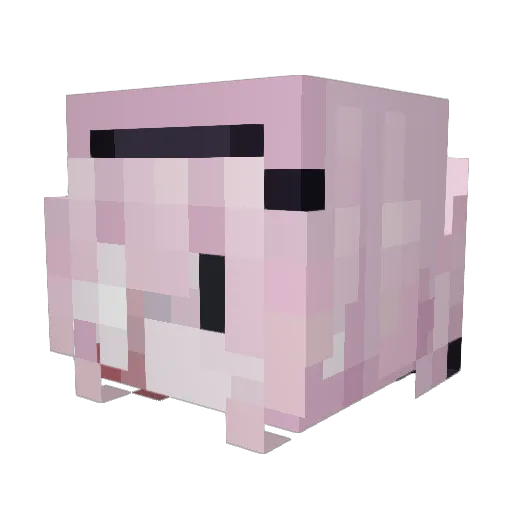 thatisnotcorrect Minecraft avatar head, 3D render