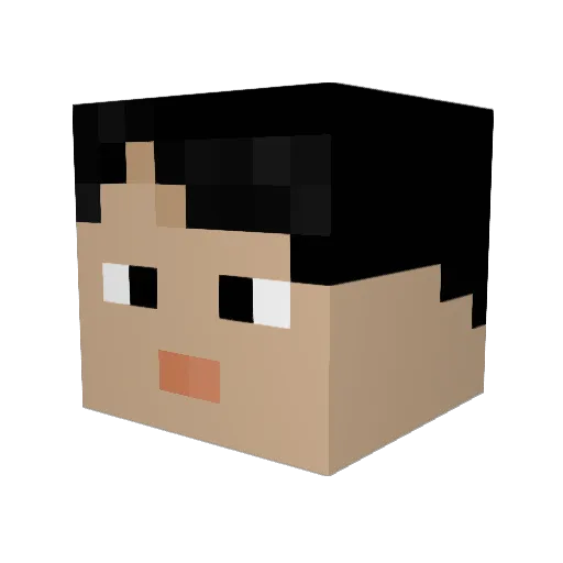 thatkoolninja Minecraft avatar head, 3D render