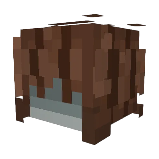 thatnoobguy1 Minecraft avatar head, 3D render