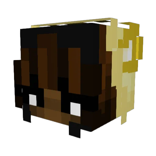 thatswattshesaid Minecraft avatar head, 3D render