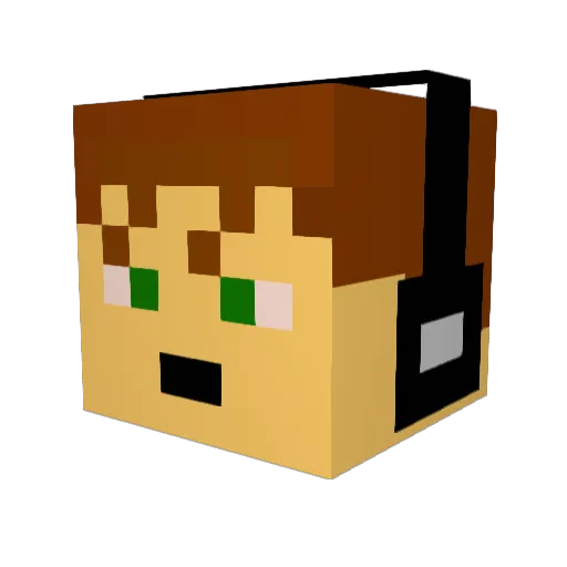 the12thman22 Minecraft avatar head, 3D render