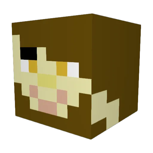 the14est Minecraft avatar head, 3D render