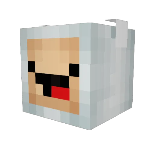 the5thpeanut Minecraft avatar head, 3D render