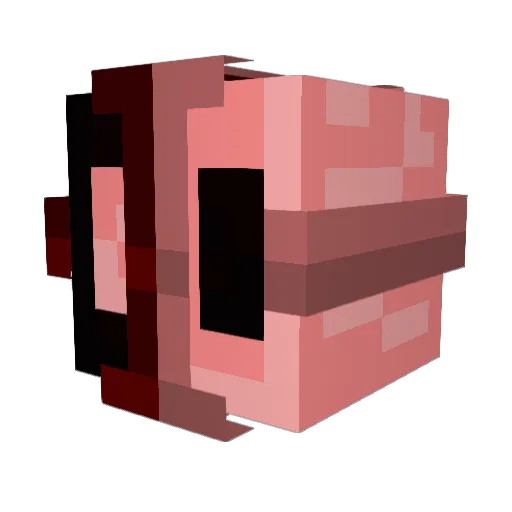 theBlockBoyy Minecraft avatar head, 3D render