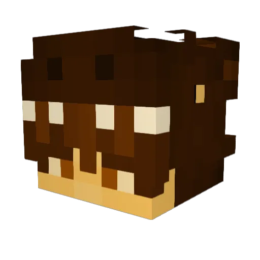 theDillyDaller Minecraft avatar head, 3D render