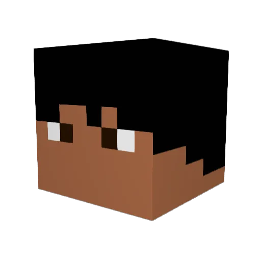 theFluffyAfro87 Minecraft avatar head, 3D render