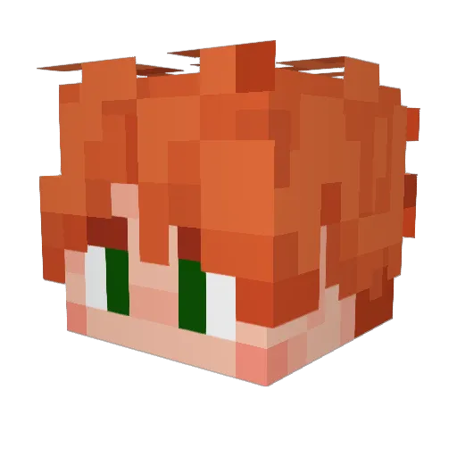 theLidX Minecraft avatar head, 3D render