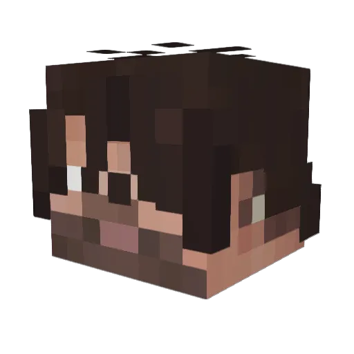 theNobleProtocol Minecraft avatar head, 3D render