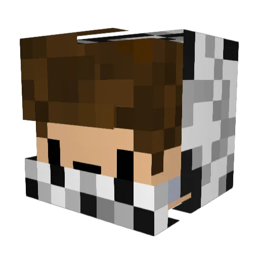 theREALNoodle2k1 Minecraft avatar head, 3D render