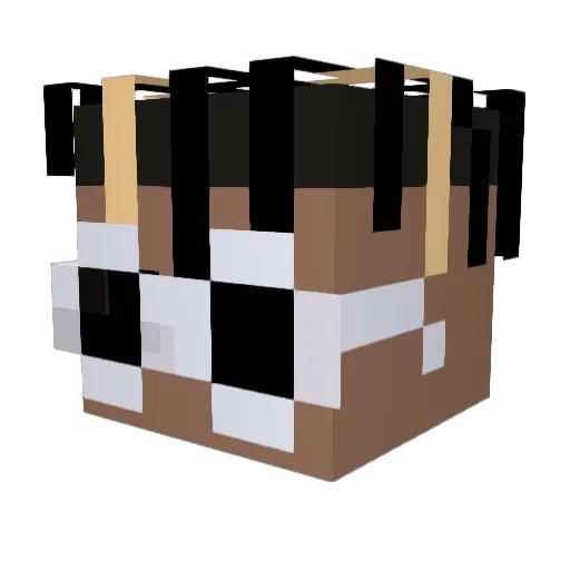 theRealNameless Minecraft avatar head, 3D render