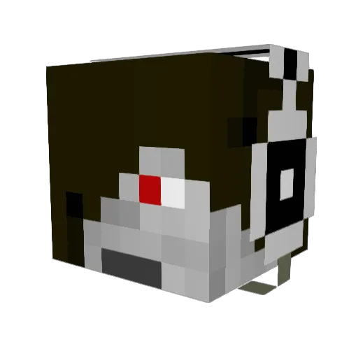 theShadowDoctor Minecraft avatar head, 3D render