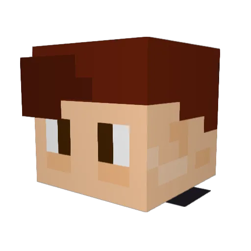theWaltPL Minecraft avatar head, 3D render