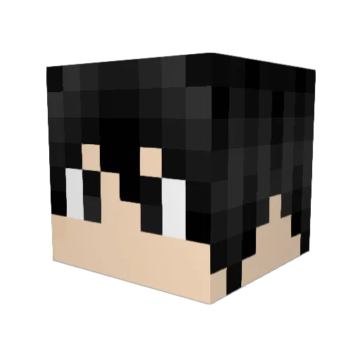 theWaringer Minecraft avatar head, 3D render