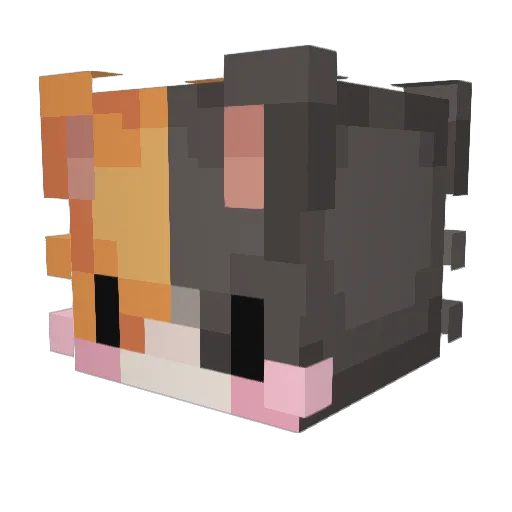 theWilliwaw Minecraft avatar head, 3D render