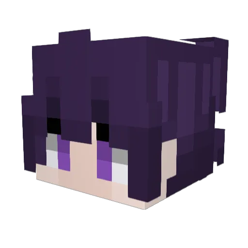 the_KAMRAN72 Minecraft avatar head, 3D render