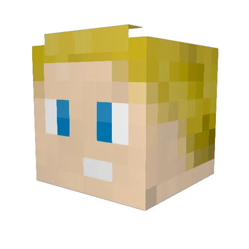 the__Carson Minecraft avatar head, 3D render