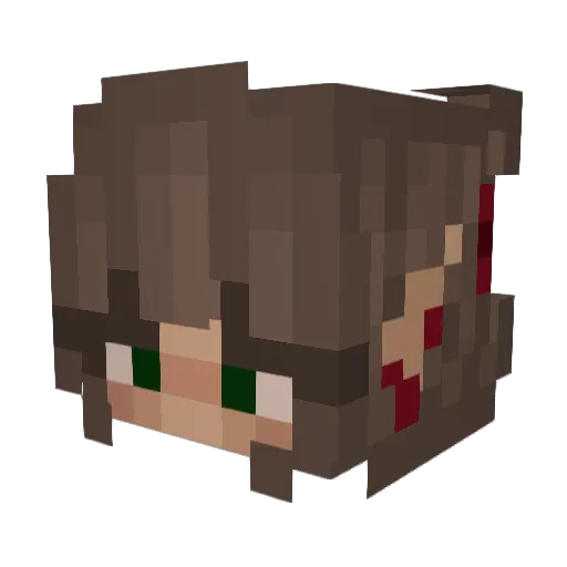 the_adds Minecraft avatar head, 3D render