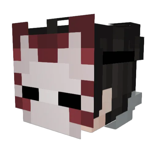 the_awesome_DJ Minecraft avatar head, 3D render