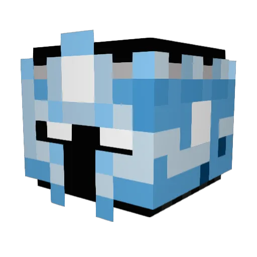 the_baav Minecraft avatar head, 3D render