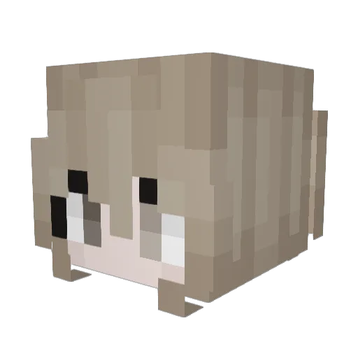 the_caesarsalad Minecraft avatar head, 3D render
