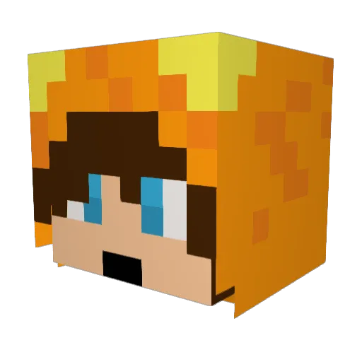 the_close_Bros Minecraft avatar head, 3D render