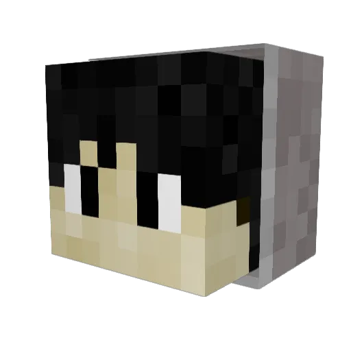 the_cool_horse Minecraft avatar head, 3D render