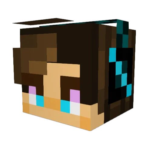 the_creator906 Minecraft avatar head, 3D render