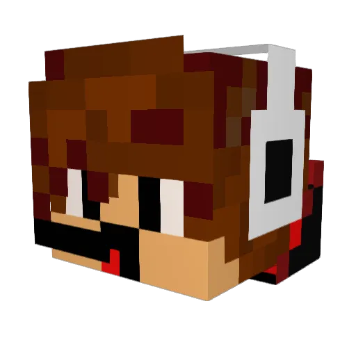 the_derp_crusher Minecraft avatar head, 3D render