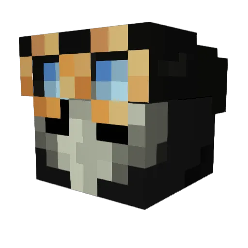the_doc16 Minecraft avatar head, 3D render