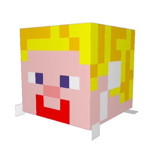 the_dudegod Minecraft avatar head, 3D render
