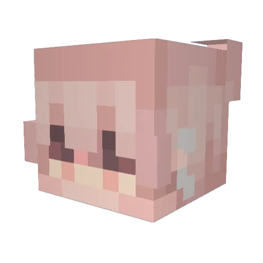 the_fairy222 Minecraft avatar head, 3D render