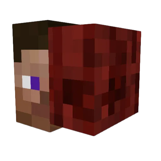 the_fishGuy33 Minecraft avatar head, 3D render