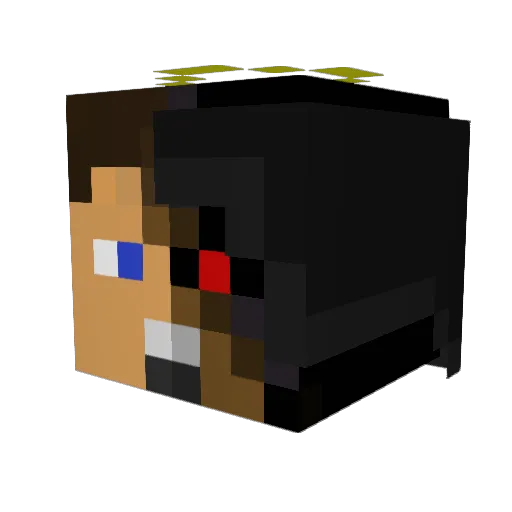 the_flyingangel Minecraft avatar head, 3D render