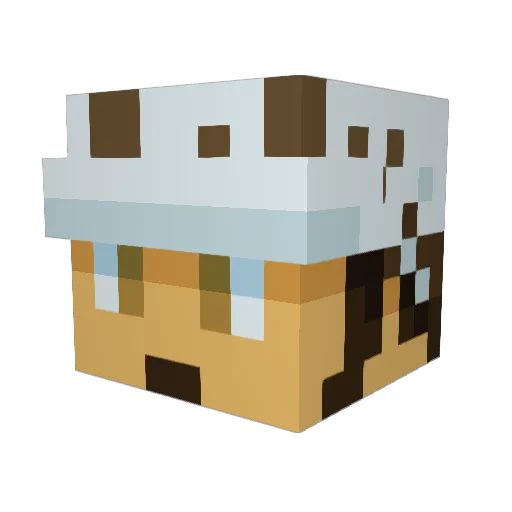 the_gamer Minecraft avatar head, 3D render