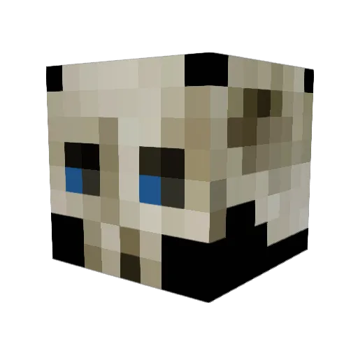 the_joz_of_lyfe Minecraft avatar head, 3D render