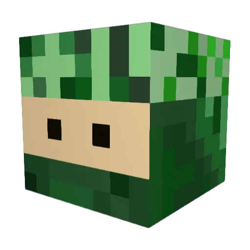 the_lego_cat Minecraft avatar head, 3D render