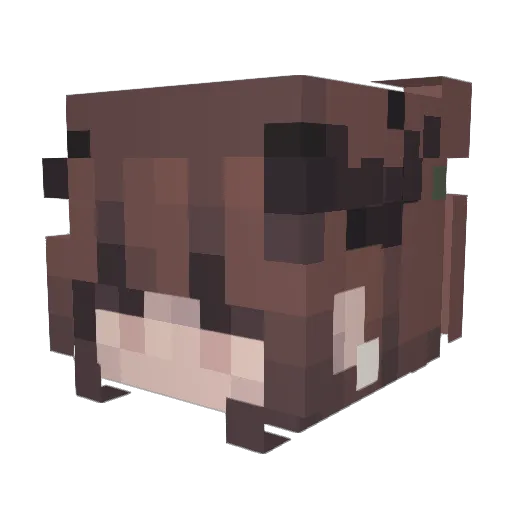 the_mug_man Minecraft avatar head, 3D render