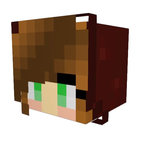 the_nudles Minecraft avatar head, 3D render