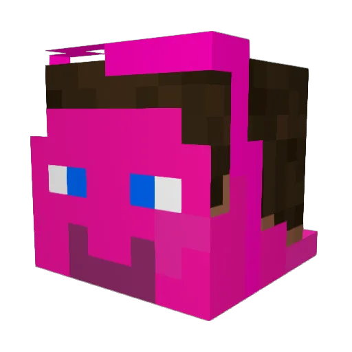 the_pig788 Minecraft avatar head, 3D render