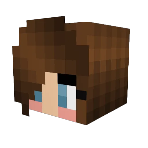 the_red_fox_124 Minecraft avatar head, 3D render
