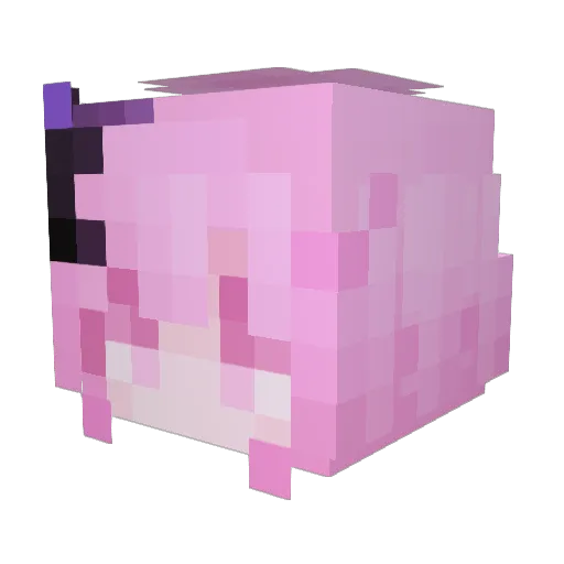 the_regicide Minecraft avatar head, 3D render