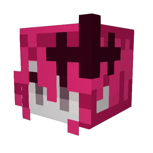 the_ren_lover Minecraft avatar head, 3D render