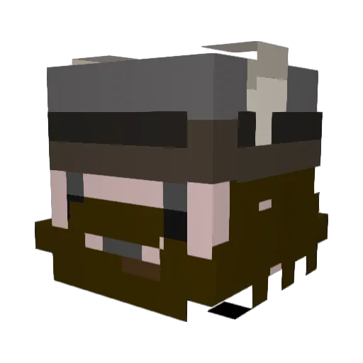 the_ryanator21 Minecraft avatar head, 3D render