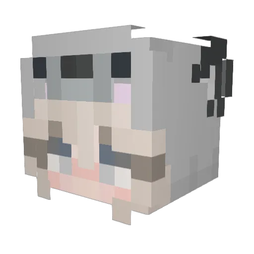 the_sanny Minecraft avatar head, 3D render