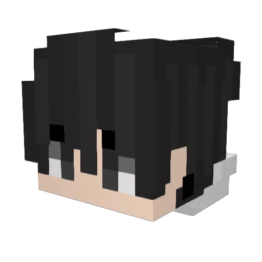 the_skine Minecraft avatar head, 3D render