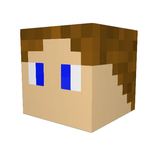 the_skyy Minecraft avatar head, 3D render