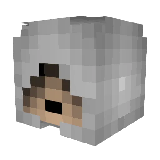the_storyteller Minecraft avatar head, 3D render