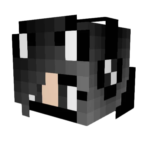 the_tag Minecraft avatar head, 3D render